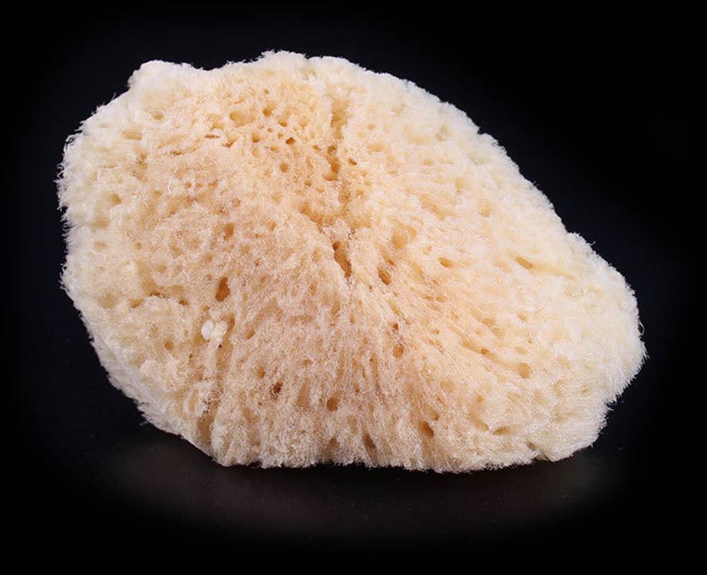 Natural Sea Sponge - JJ's Party House