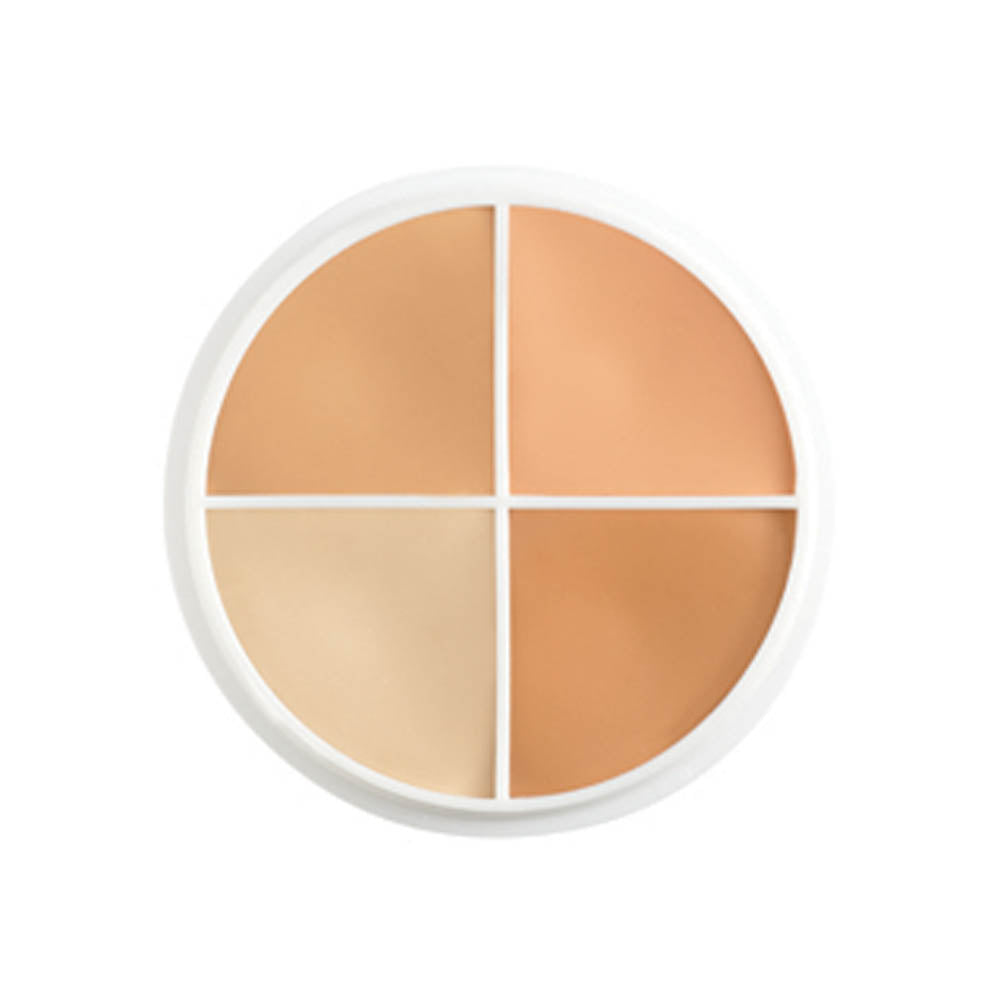 Ben Nye Conceal All 4 Color Makeup Wheel Concealer.5oz