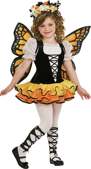 Monarch Butterfly