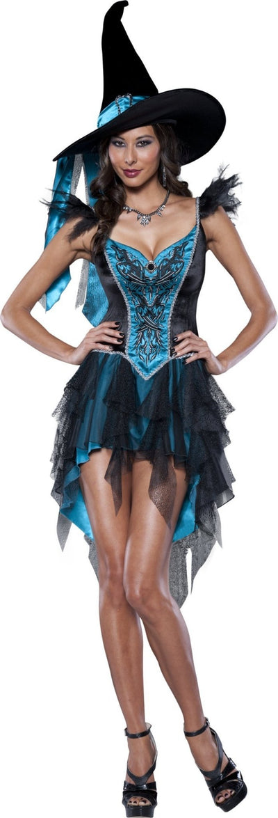 Adult Enchanting Witch Deluxe Costume - JJ's Party House