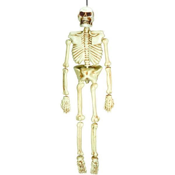 Amscan Staging Skeleton 5Ft
