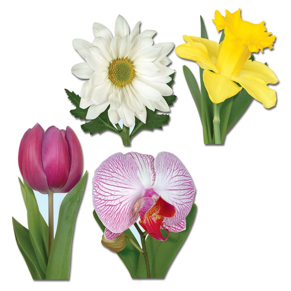 Classic Flower Collection Pkg. - JJ's Party House