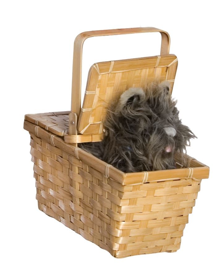Deluxe Toto in a Basket - Wizard of Oz - JJ's Party House