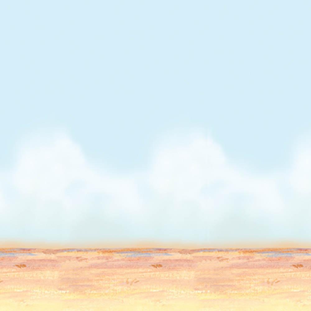 Desert Sky & Sand Backdrop - JJ's Party House