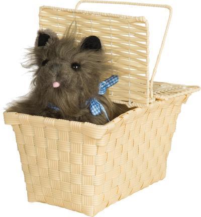 Toto In The Basket - JJ's Party House